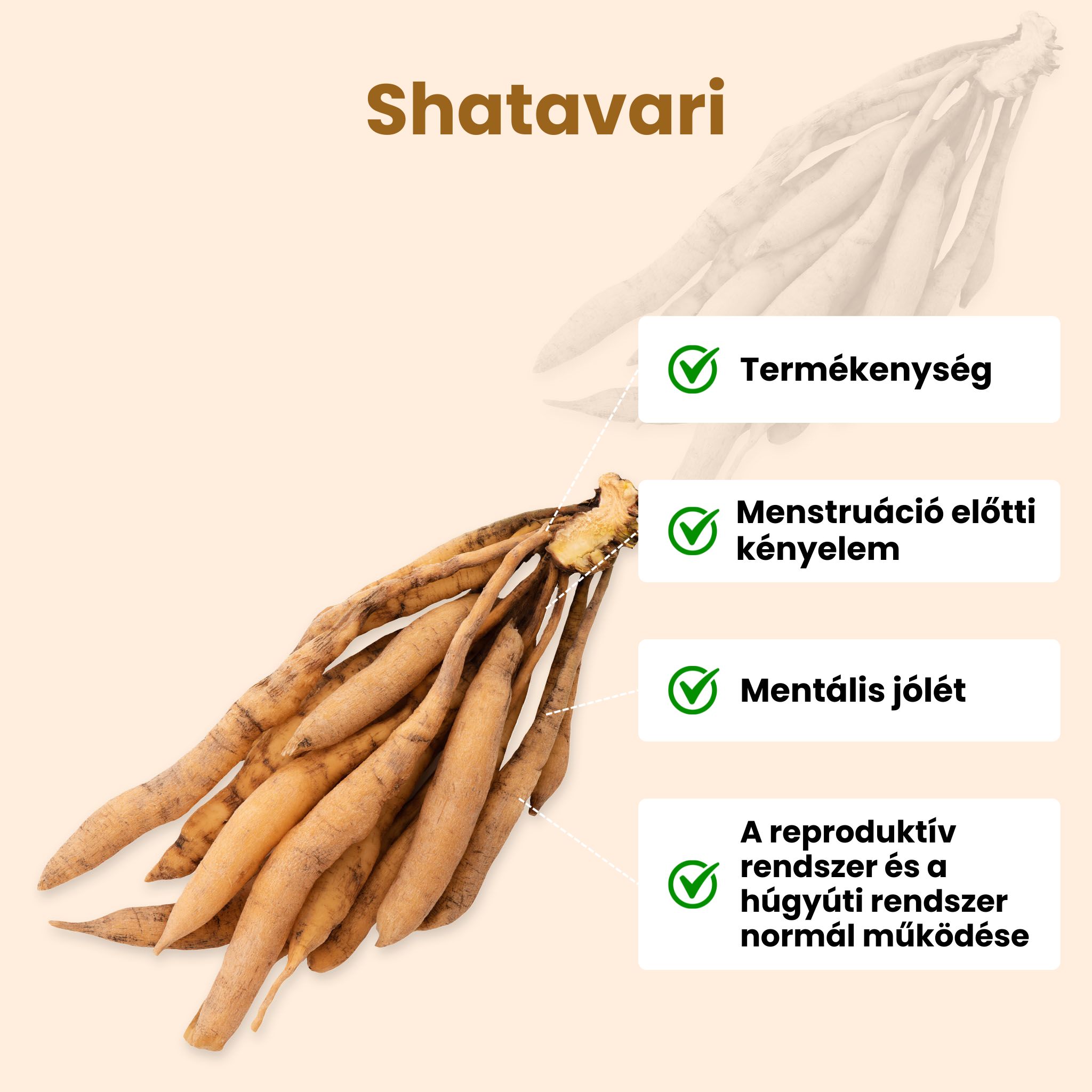 (Maďarština) Shatavari